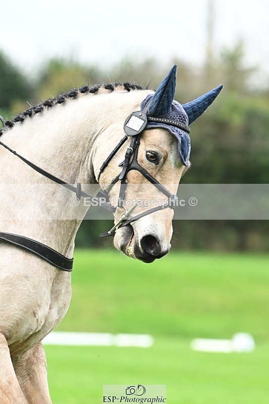 241024-101906-02988 - 409-Chloe.Dunn-TOWERHILL.SHAMIE