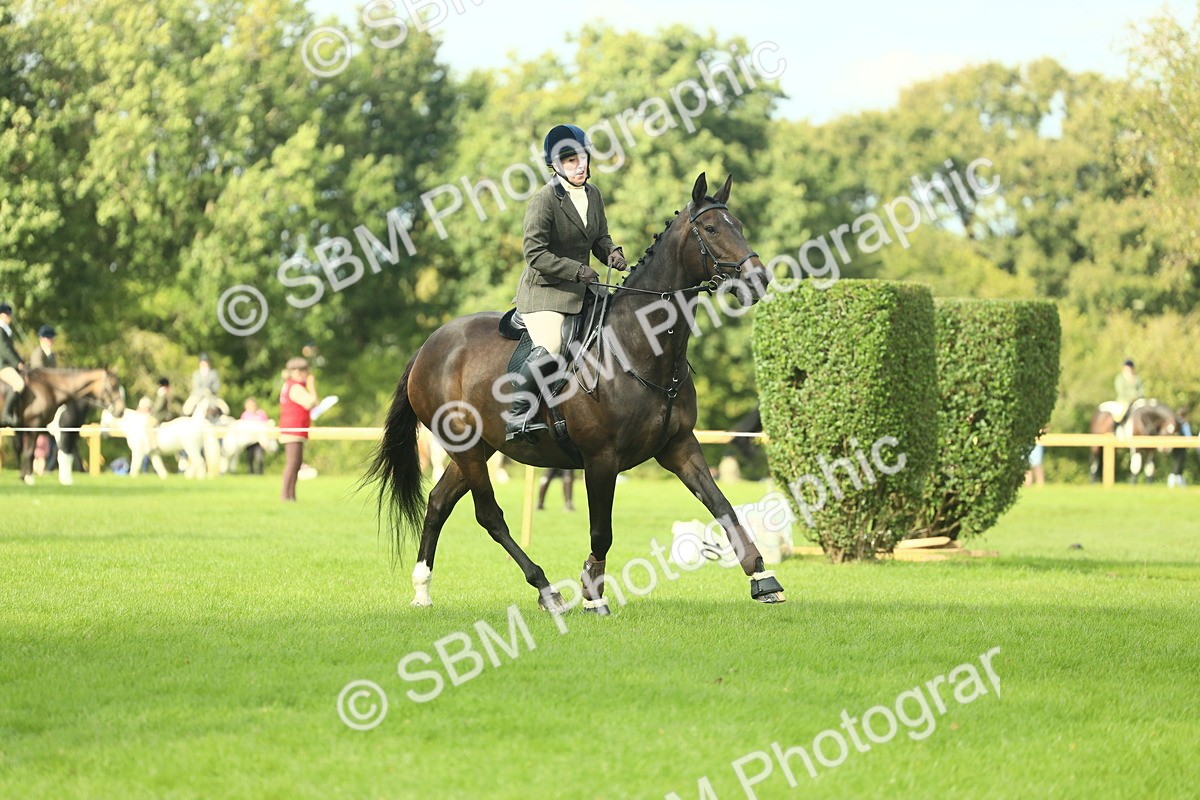 SBM_48031 - S32 - Novice & Newcomers Working Hunter