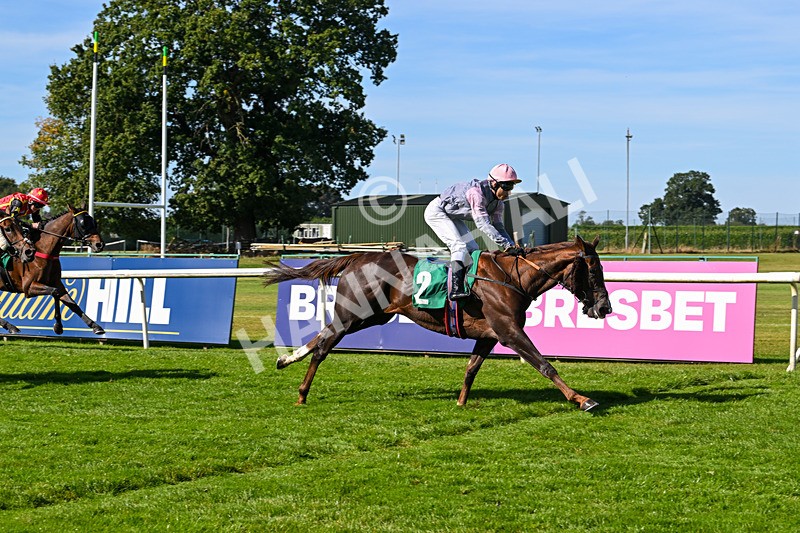 160924-Race 1-Susiesparkle-2522 - Race 1