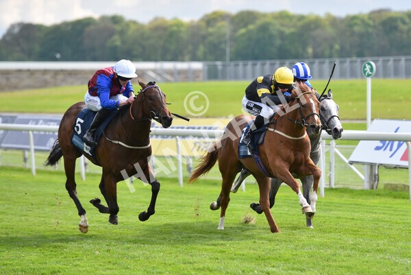 yr12052021r6-18 - Race 6 4.15pm British Stallion Studs EBF Novice Stakes