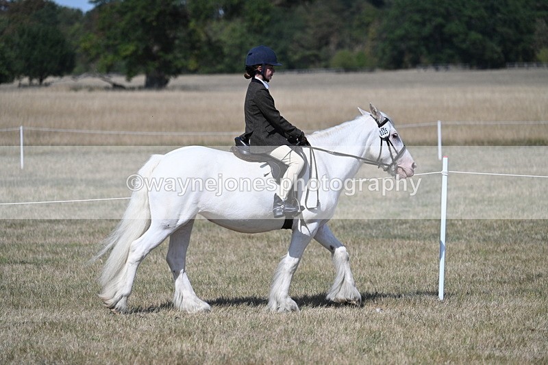 WJ7_1193 - Class 41 Prettiest Mare