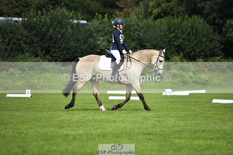 230826-111554-15809 - Sections C & D 10 to End