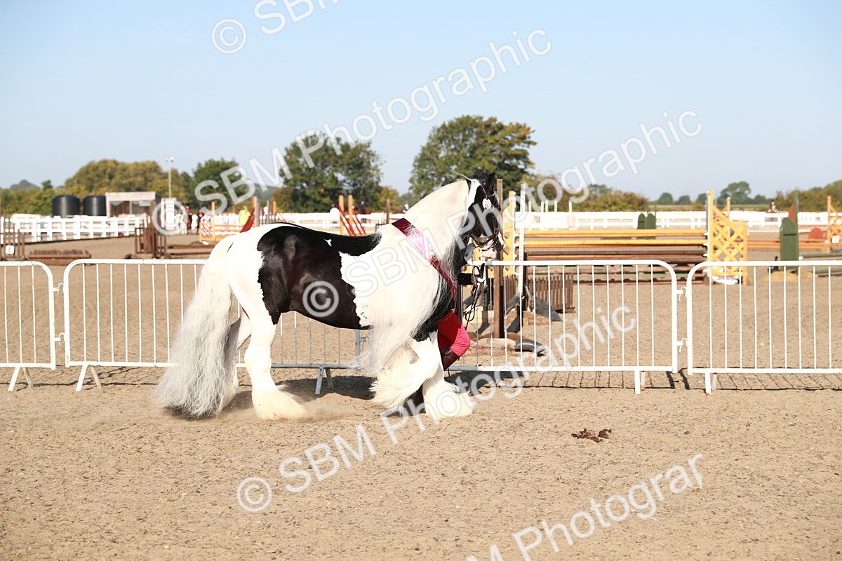 SBM_00160 - Class 40 Best Turned Out IH