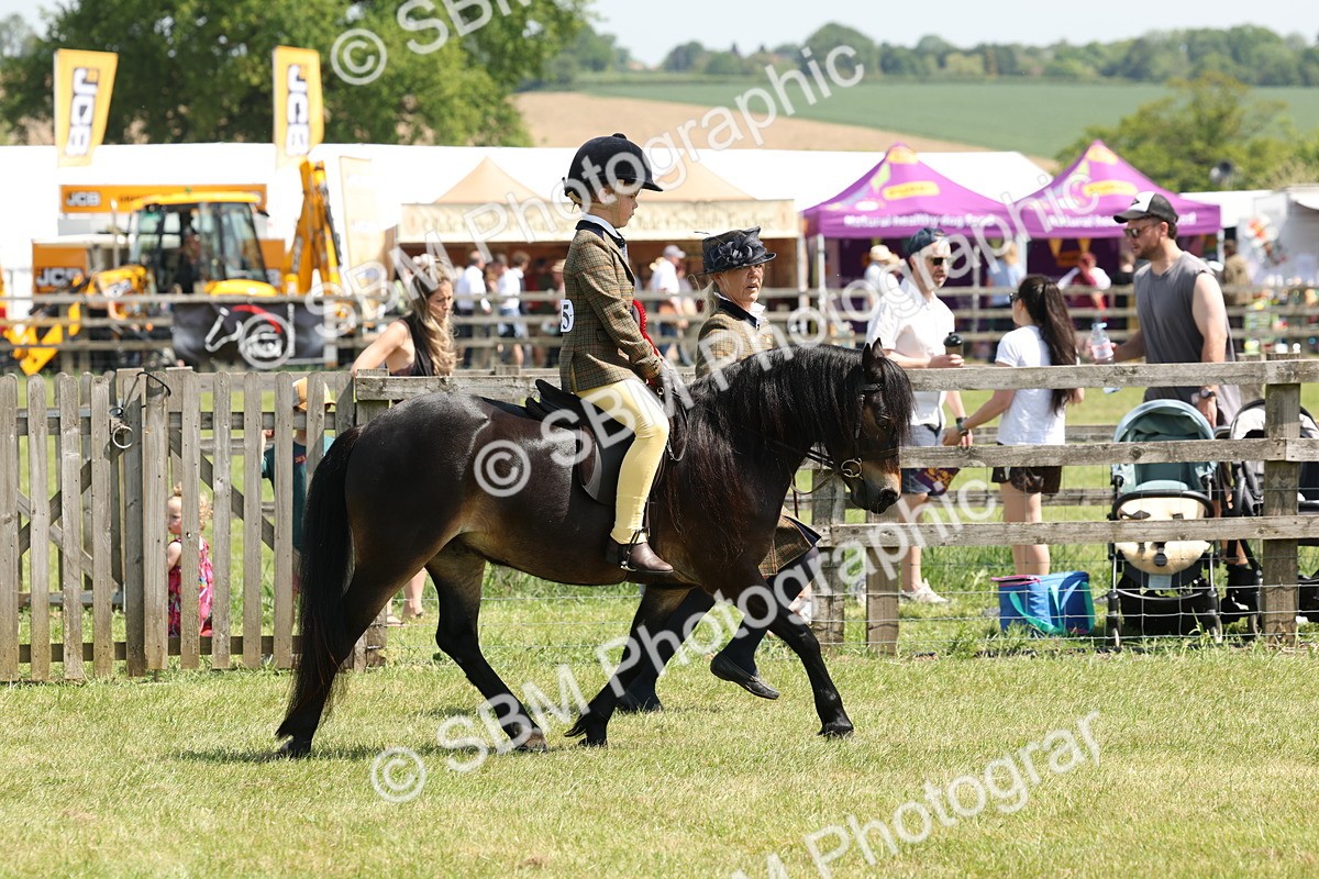 SBM_05415 - Class 24-25 - Mountain & Moorland In Hand Lead Rein and First Ridden