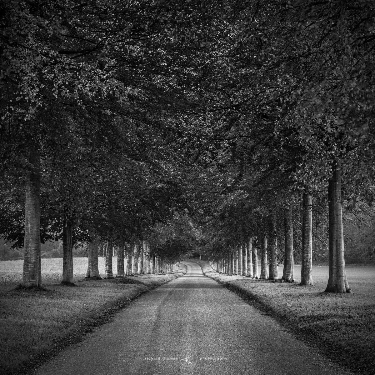 Country Lane - Order