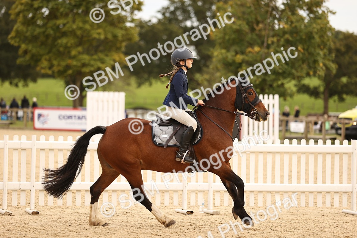 SBM_75440 - Supreme Championship - PM