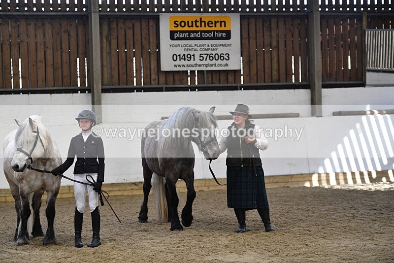 WJ5_4444 - Class 6 In hand M&M - Large Breeds