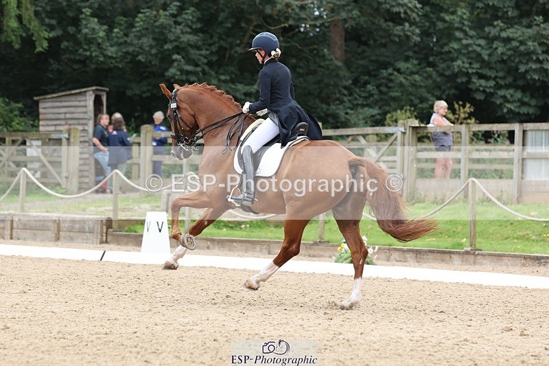 240810-133542-03354 - 188-Amanda.Towle.Shaw-Rockwood.Virtue