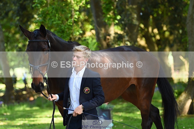 230524-161642-00811 - 262-TREAMBLE-Finn_Healy-WEDTrotUp+DR