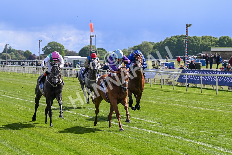 140526-Race 4-See The Fire-5161 - Race 4 3.30pm Al Basti Equiworld Dubai Middleton Fillies' Stakes