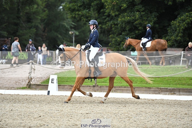 230812-123847-04174 - Cls 6 Novice Silver 12.10 to End