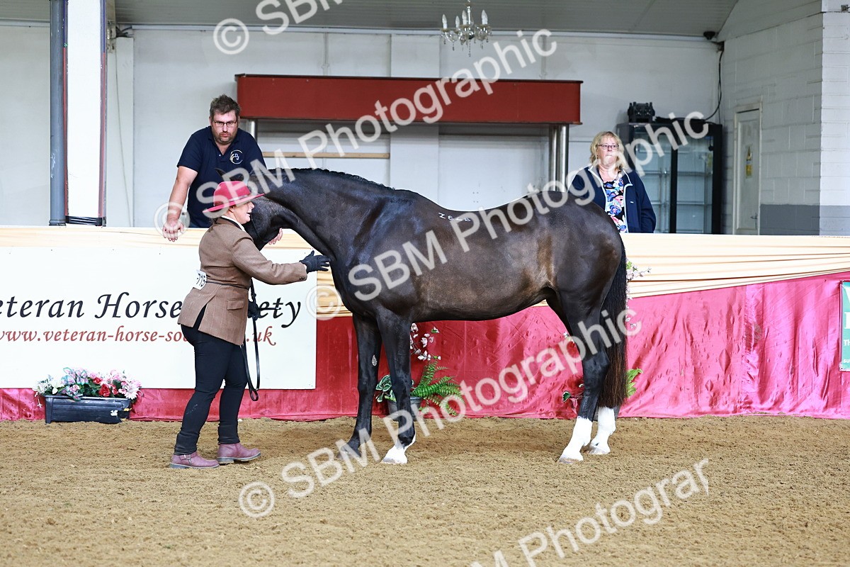 SBM_21723 - Class 901 - Supreme Final - IH  Diamond