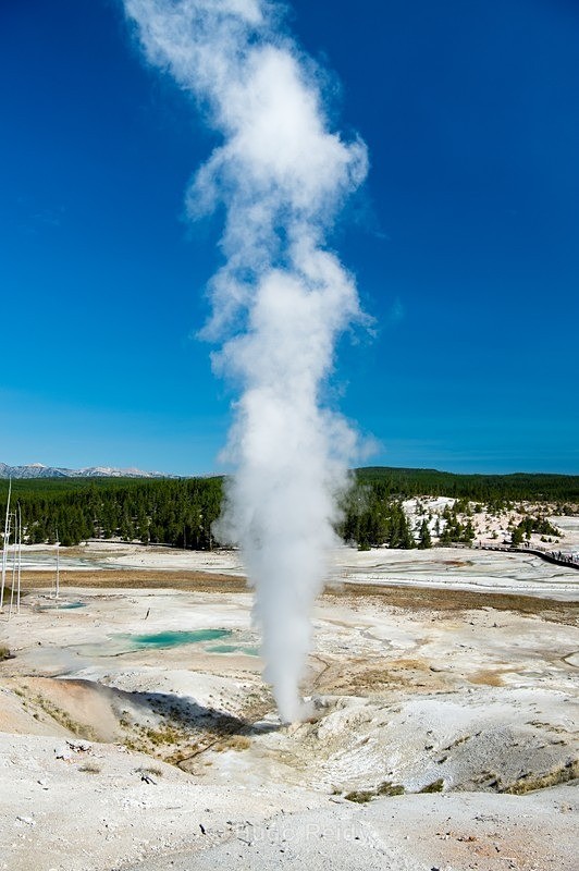  - Yellowstone