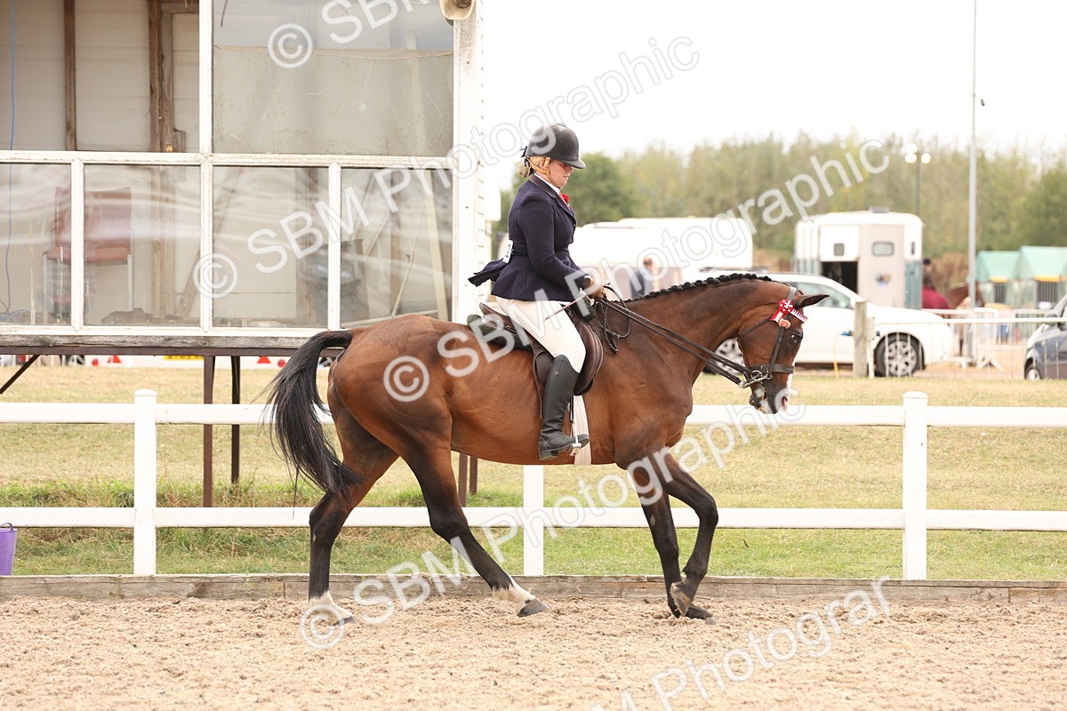 SBM_17325 - Class 214 - Ridden Hack Riding Horse