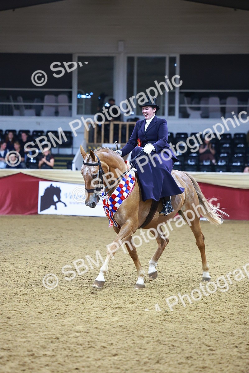 SBM_15768 - Class T - Working Veteran Champ