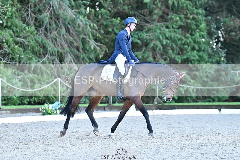 251023A-163939-05918 - A-017-Harrison.Chart