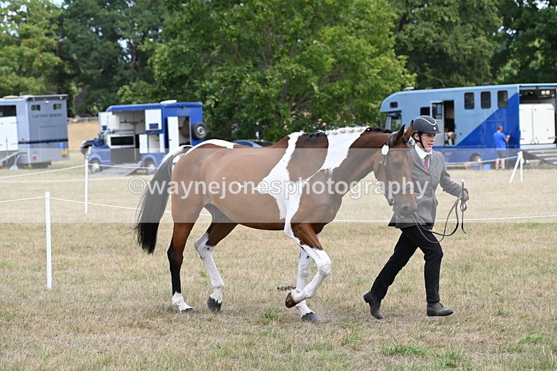 WJ6_6000 - Class 19 In-hand Veterans (Uploaded correct folder)