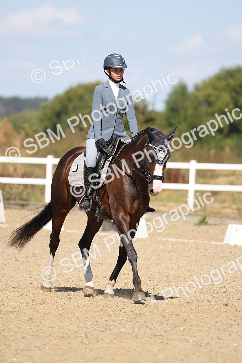 SBM_013600 - Class 1 - P5 Bronze 10.38.12.02