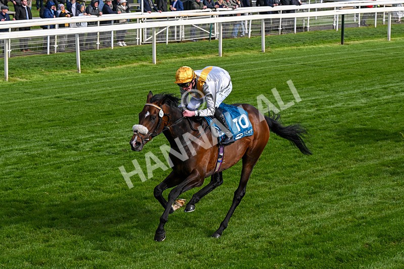 140526-Race 7-Arc Ole Ole-0424 - Race 7 5.15pm Frank Whittle Partnership Handicap