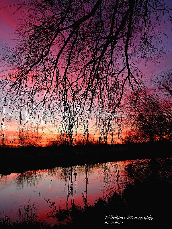 - Landscapes