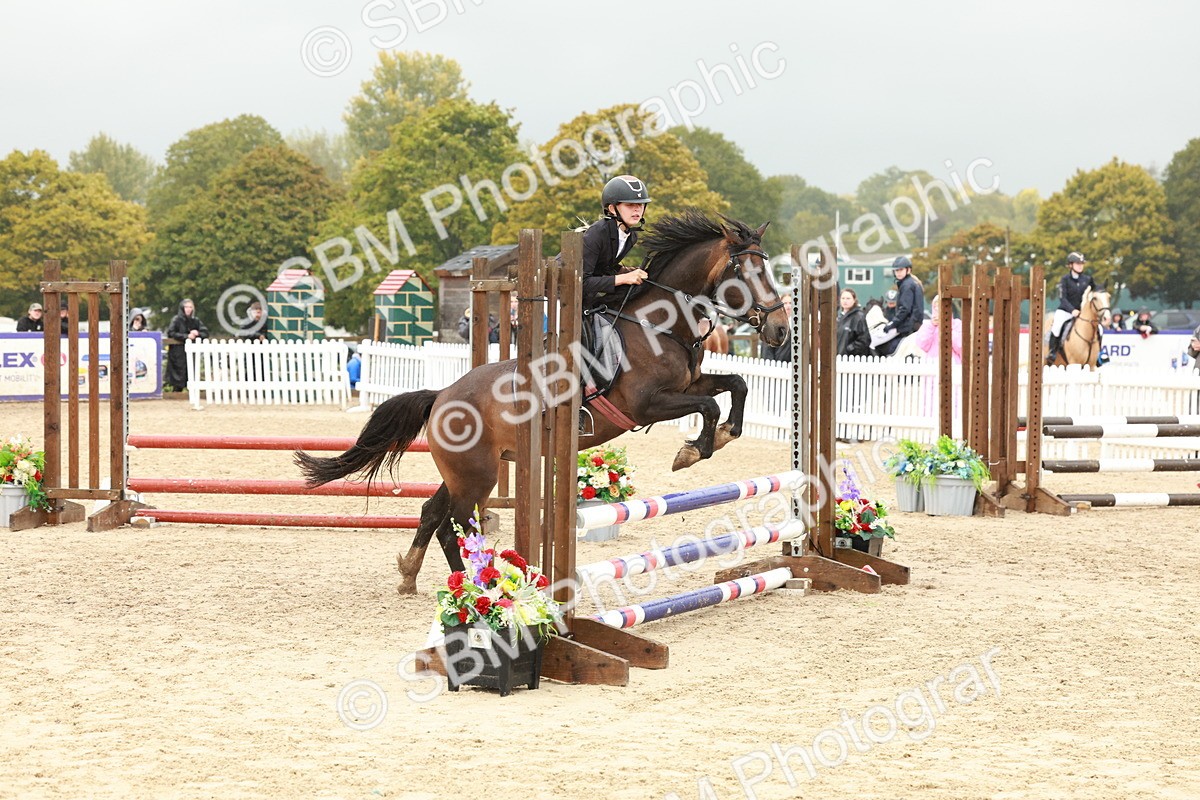 SBM_71102 - J14 - Junior Pony 65cm Championship