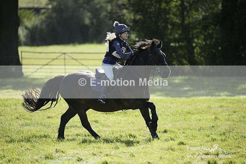  WWHT 031021 1283 - Open Novice (0.80m) 03/10/21