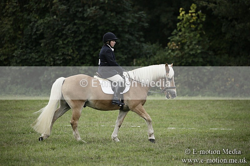 BVR090918 57 - BVRC Dressage and Show Jumping 09/09/18