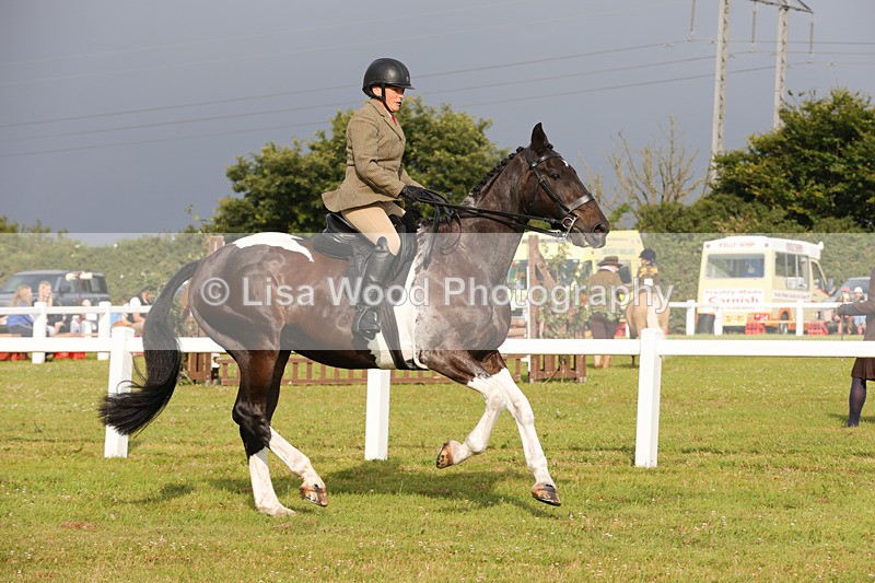 1X9A2932 - Class 25: Ridden Plaited Coloured Horse