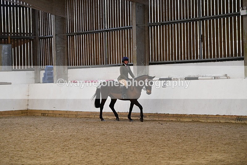 WJ5_7685 - Class 13 Ridden Part Breed