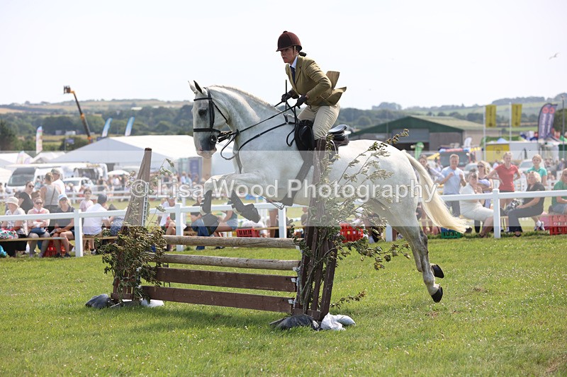 JPP_3668 - Class 23: Working Hunter 80cm