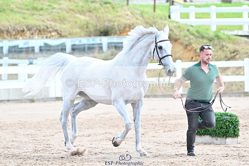 240717A-144053-02190 - Trot Up 2pm to 3pm - This folder is not in time order