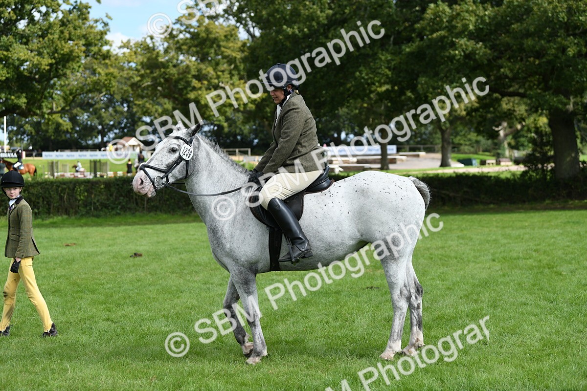 SBM_46891 - S12 - Family Horse & Pony