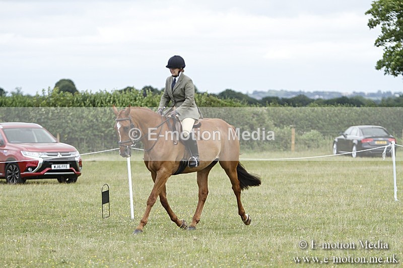 BVR160717-1788 - Ring 3 BVRC Show 16/07/17