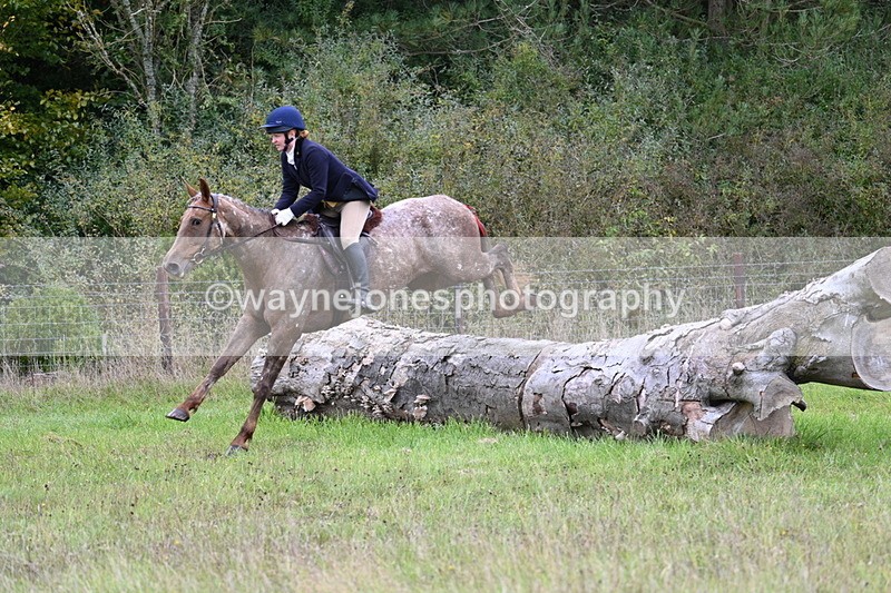 WJ7_3889 - Camera 1 Line 1