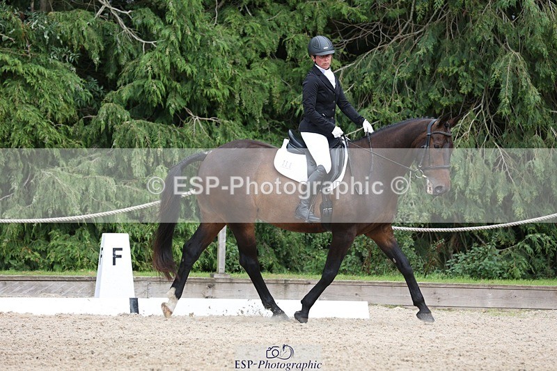 230812-153656-05170 - Cls 5 Novice Bronze 15.00 to End