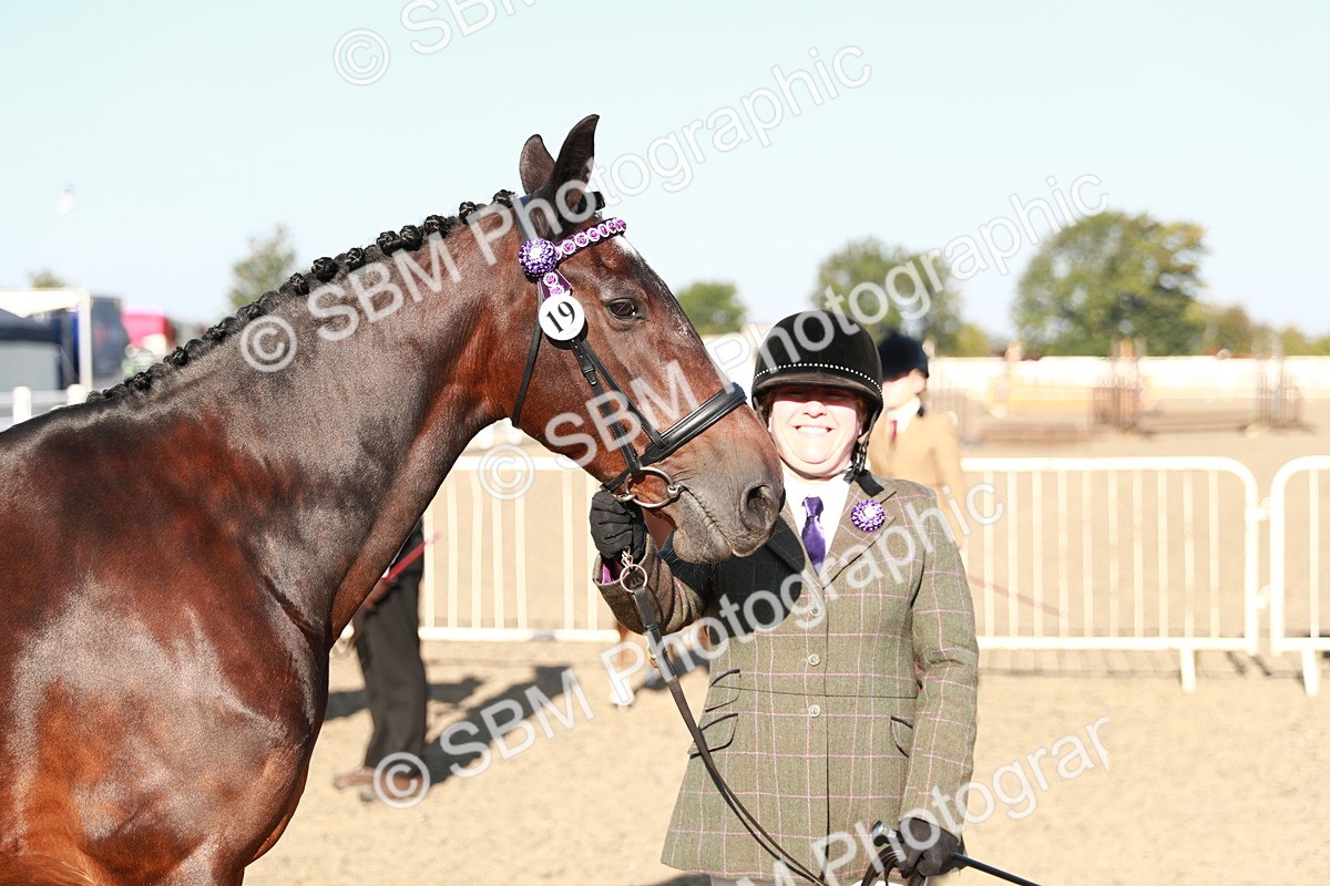 SBM_00068 - Class 40 Best Turned Out IH