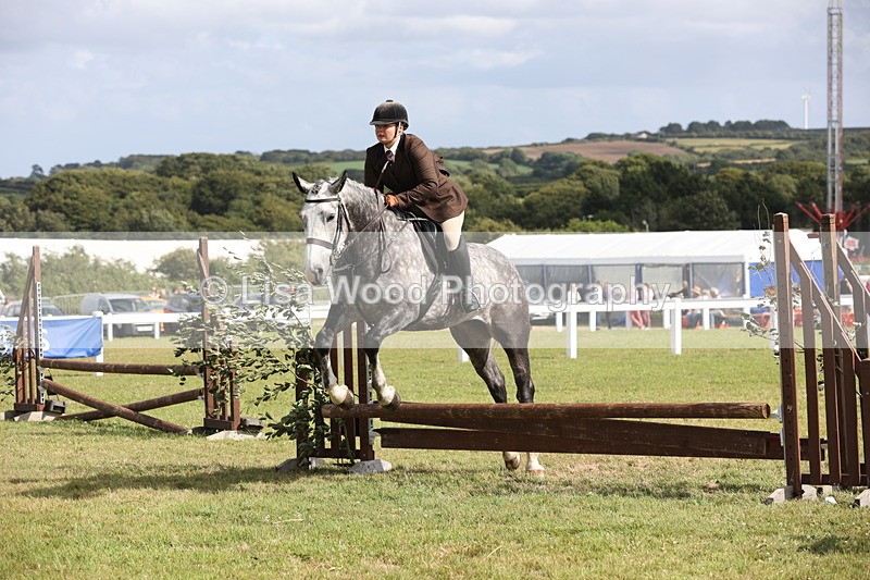 JPP_2684 - Class 20: Working Hunter 70cm