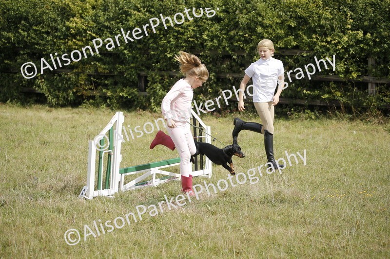 20250831-3907 - Dog Show