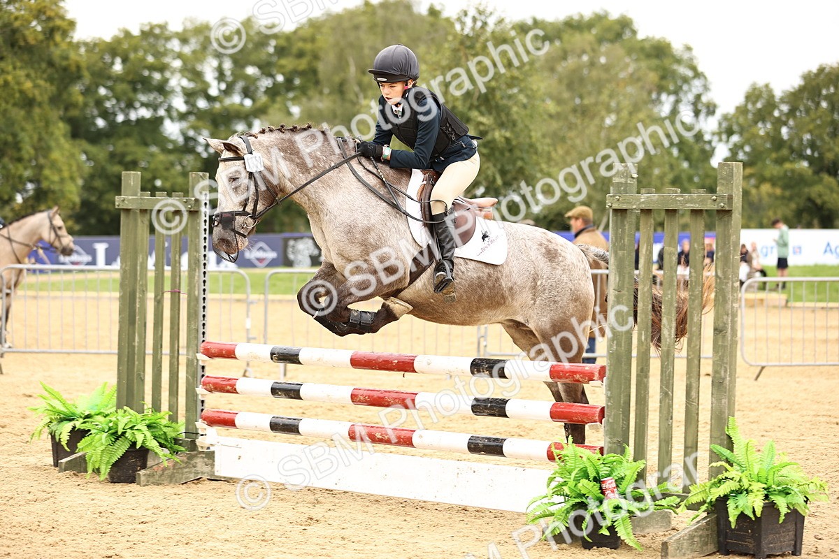 SBM_66464 - J17 - Junior Pony 80cm Championship