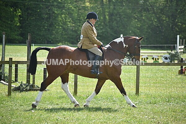 DSC_9246 - Rings 1 & 2