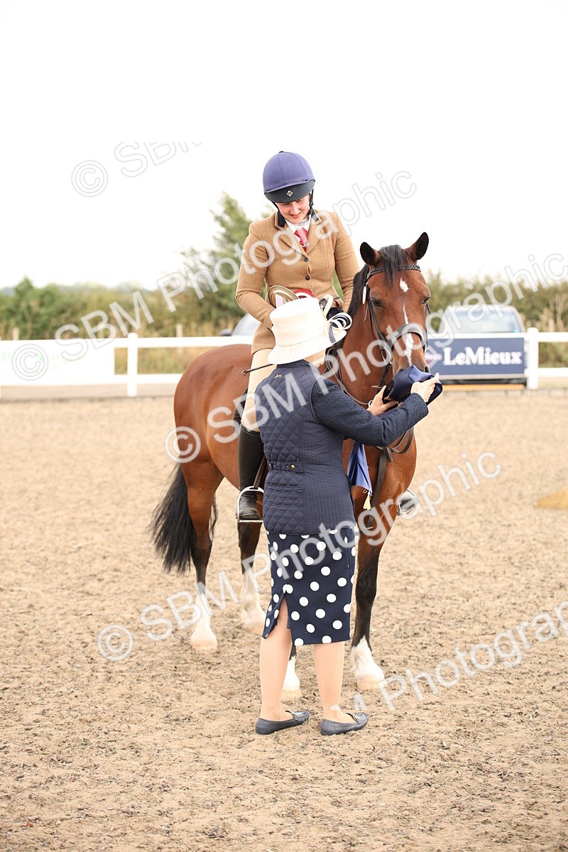 SBM_12282 - Class 405a - M&M Working Veteran 50cm (15-19)