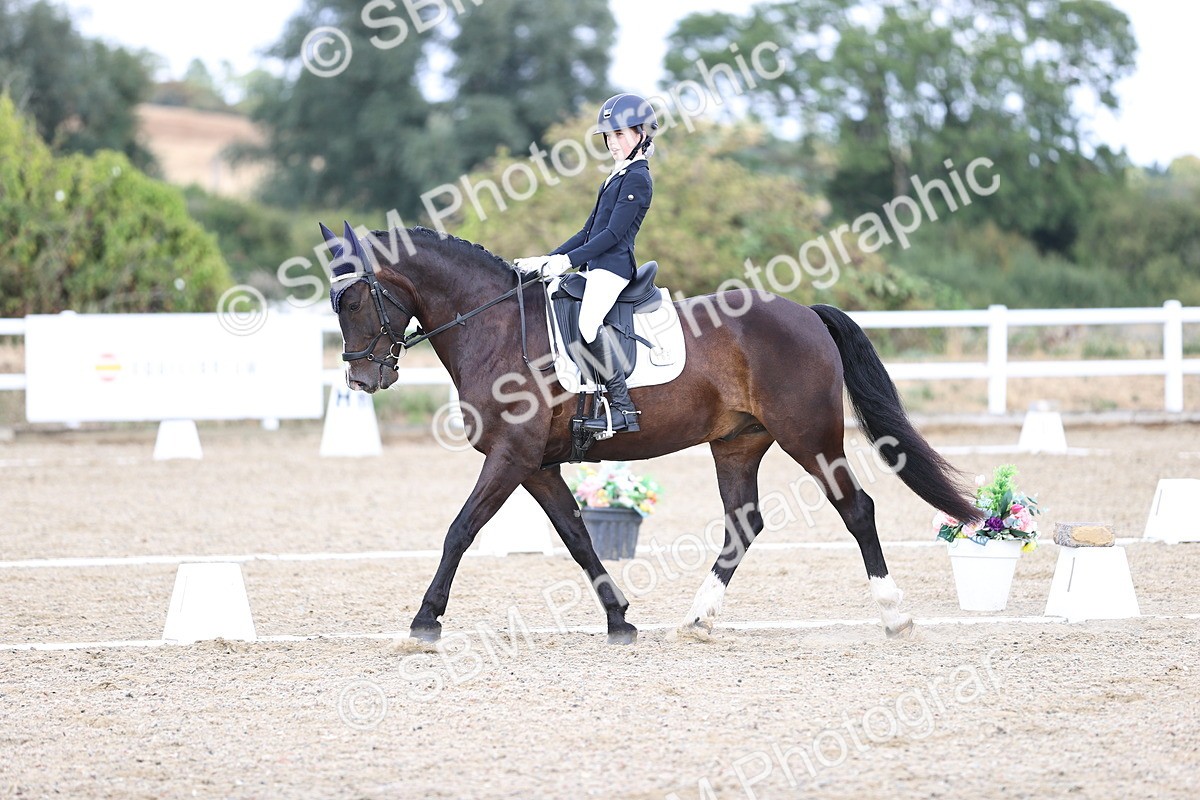 SBM_015310 - Class 5 - E5 Bronze 14.42.15.54