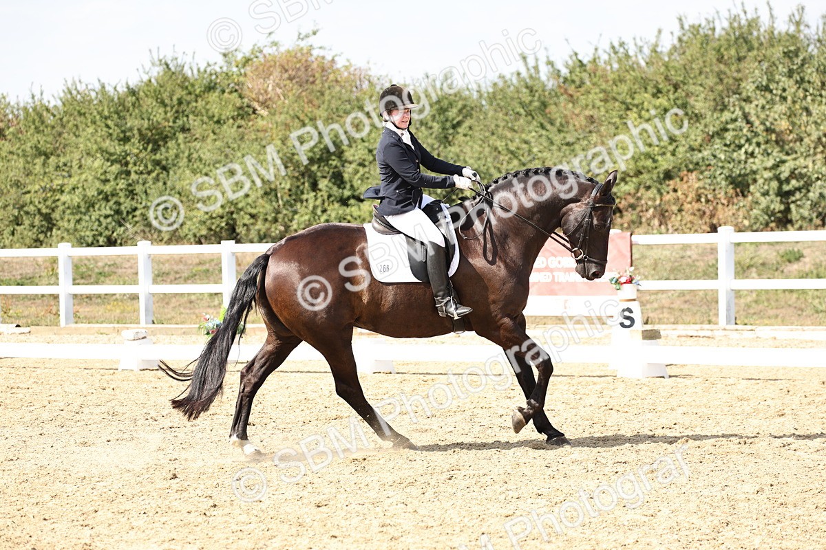 SBM_014878 - Class 7 - Medium 3