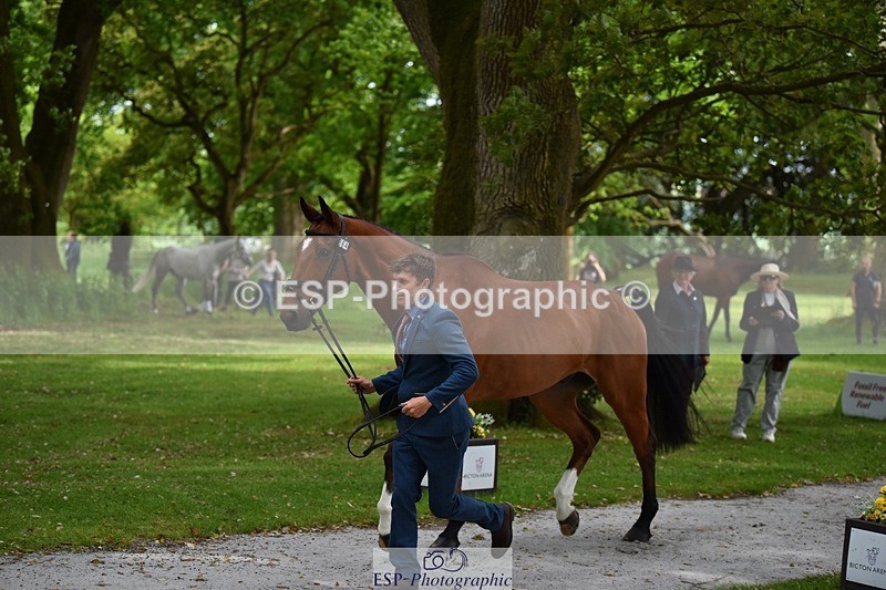 240522-150438-00075 - 364-LACHAIN_JACK-Tom_D_Crisp