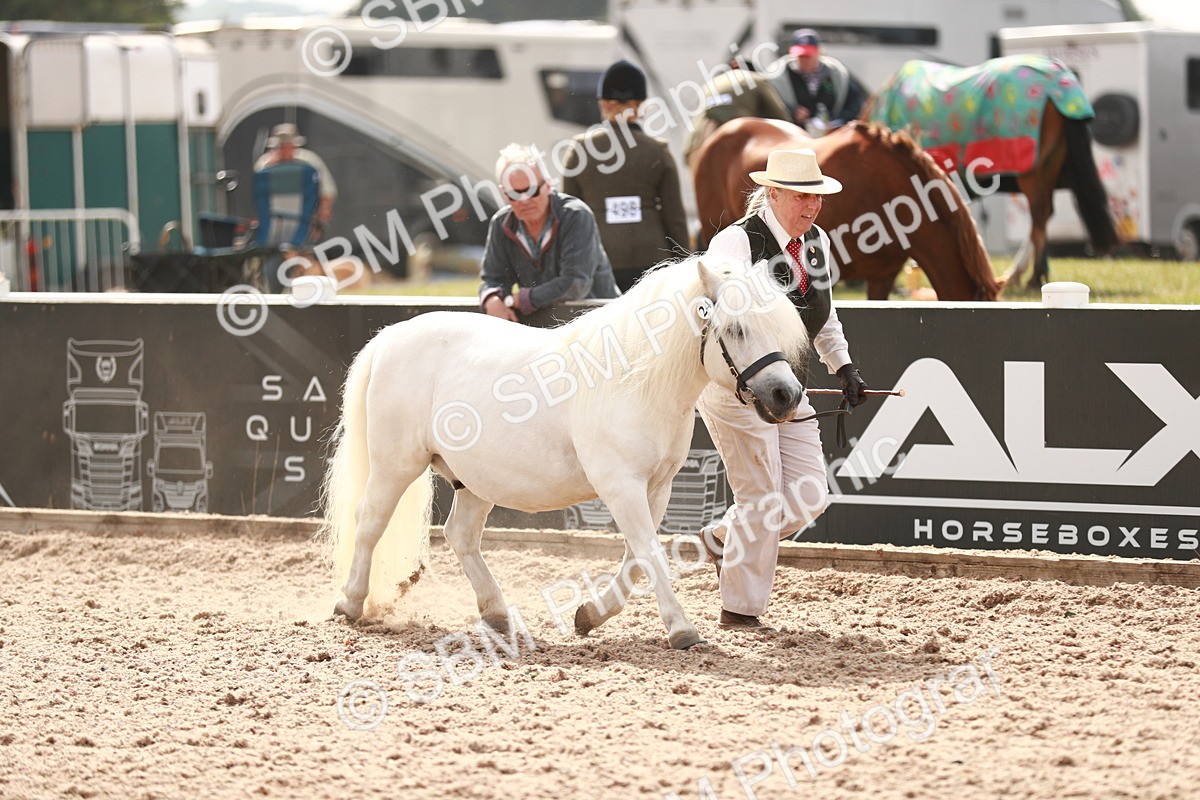 SBM_12418 - Class 207 IH M&M