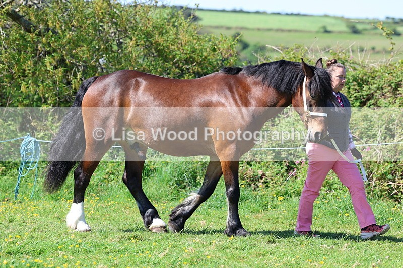 3E7A9329 - Class 16: Best Grass Kept