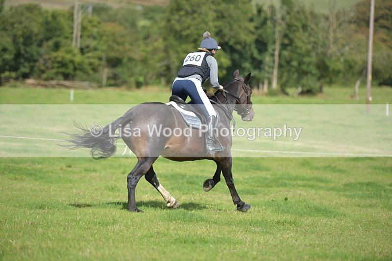 RAY_8885 - Class 2: Trekenning Open: Wall