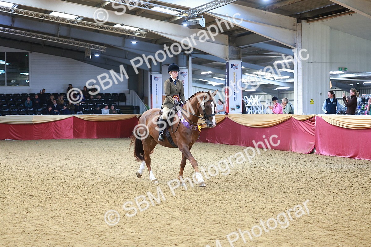 SBM_12709 - Class 103 - HOYS Veteran Qualifier - Ridden Pre Vet
