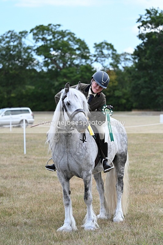 WJ7_5721 - Class 12 Ridden Cob