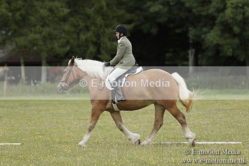 BVR160717-666 - Class 1 & 23a Dressage 16/07/17